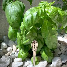 Load image into Gallery viewer, Herb Garden Markers