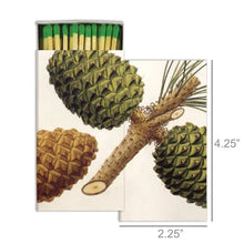 Load image into Gallery viewer, Pinecone matches