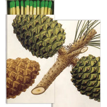 Load image into Gallery viewer, Pinecone matches