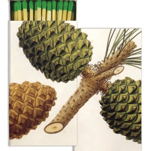 Pinecone matches