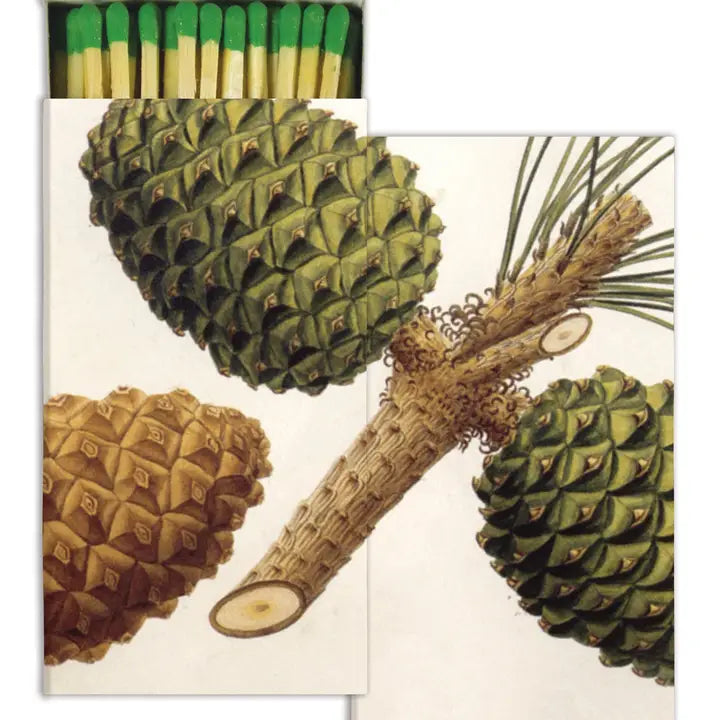 Pinecone matches