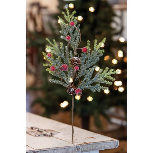 Mountain Pine with Berries Pick