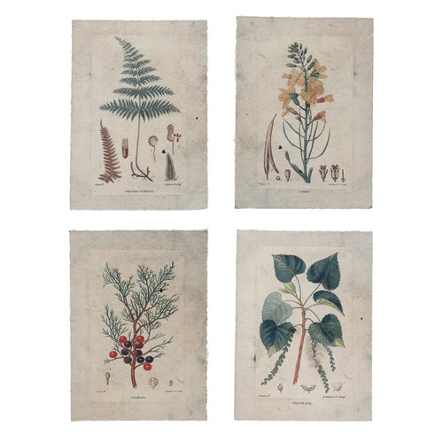 Paper Vintage Reproduction Prints, Set of 4