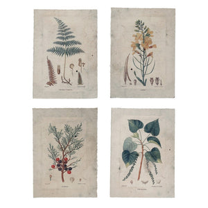 Paper Vintage Reproduction Prints, Set of 4
