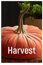 Load image into Gallery viewer, Handmade Small Velvet Pumpkins