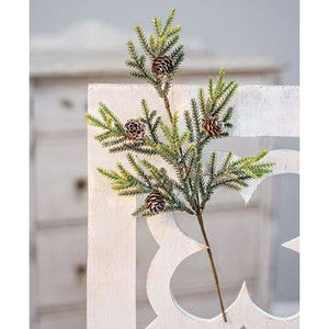 Mountain Pine Pick