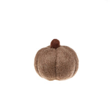 Load image into Gallery viewer, Felt Harvest Gourds