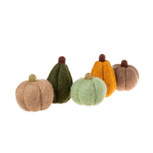 Load image into Gallery viewer, Felt Harvest Gourds