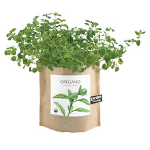 Load image into Gallery viewer, Garden in a Bag | Oregano