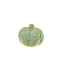 Load image into Gallery viewer, Felt Harvest Gourds