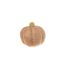 Load image into Gallery viewer, Felt Harvest Gourds