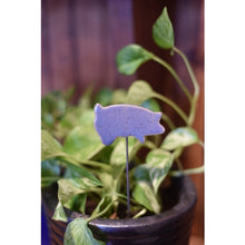Load image into Gallery viewer, Plant Buddies - Pig