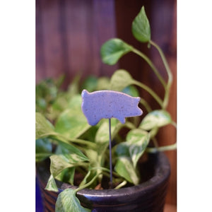 Plant Buddies - Pig